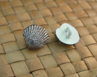 Sea shell buttons | Etsy