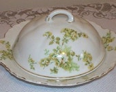 Antique Austrian Porcelain Cheese Dish - Yellow Roses - Item 008
