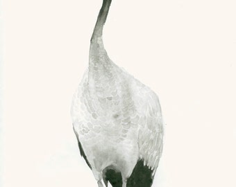 Fine Art Print from Original Watercolour Painting Crane
