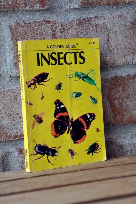 Book Insects A Golden Guide by Herbert S. Zim illustrated by