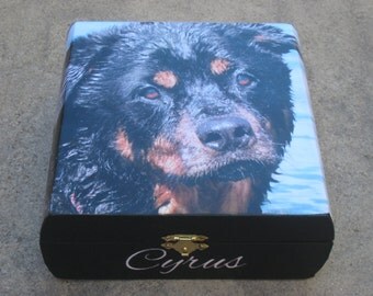 Pet Memorial Keepsake Box, Pet Urn, Personalized Photo Keepsake Box, Unique Dog Memorial, Custom Cat Memorial, Pet Gift Memory Box