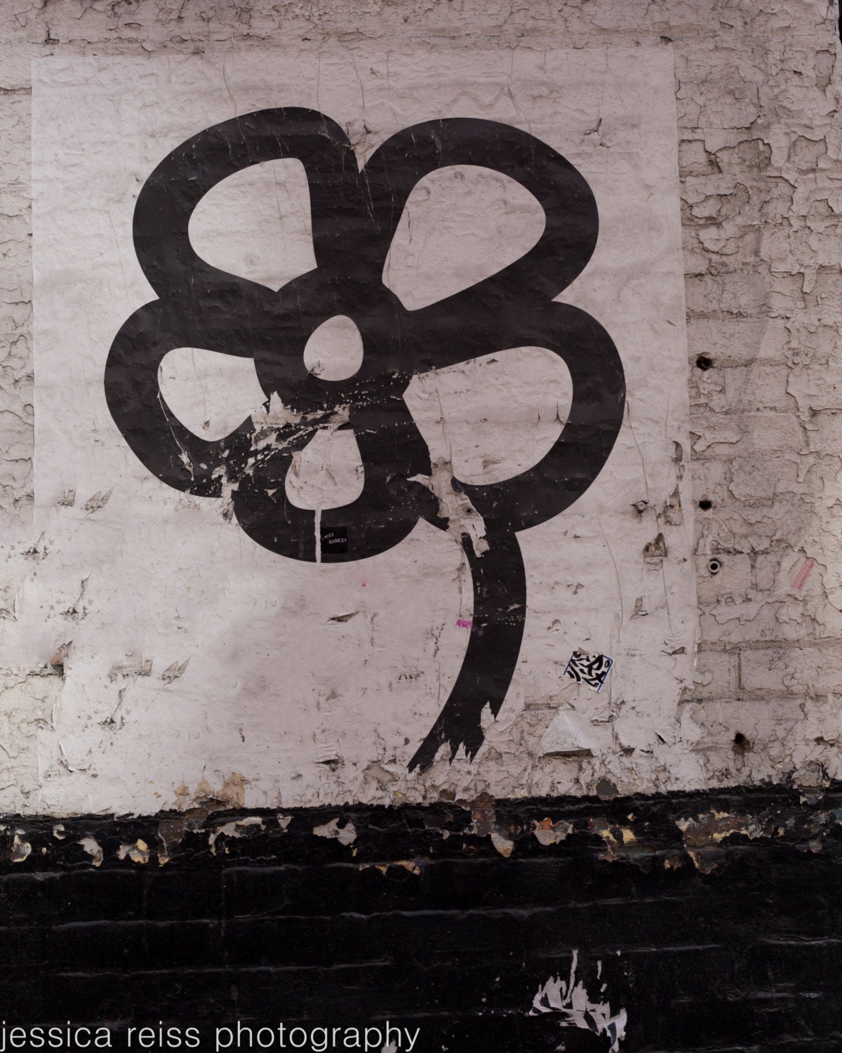 Black and White Daisy Flower Graffiti Art Print NYC New York