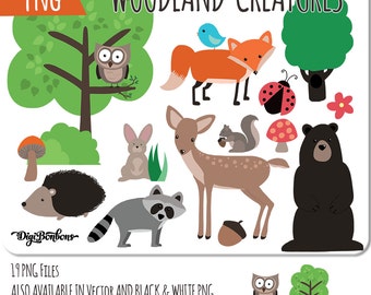 Woodland Animals Clipart, teacher clipart, digital graphics fox, deer, bear, raccoon, porcupine, rabbit, owl, squirrel, commercial