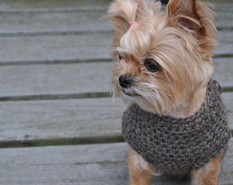 Cozy and Cute Dog Sweater - Buttons
