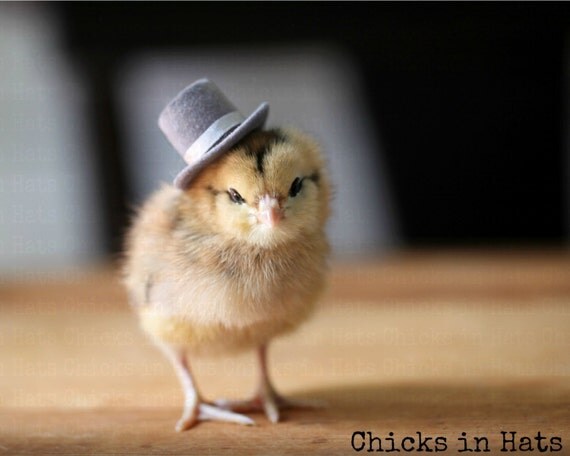 Items Similar Print Chick Wearing Top Hat Items Similar Print Chick Wearing Top Hat