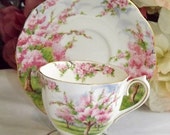 Royal Albert Blossom Time Teacup Duo 1950s