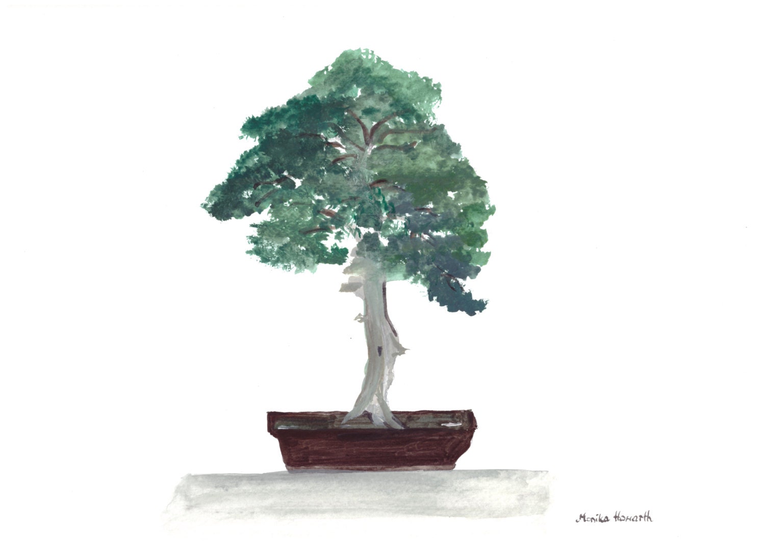 Bonsai Tree Paintings / Watercolor Painted Spruce Bonsai Tree In Pot