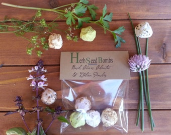 4 Herb Seed Bombs herb garden kit seed balls herb indoor herb garden herb planter herb marker herb kit seed kit seed paper plantable paper