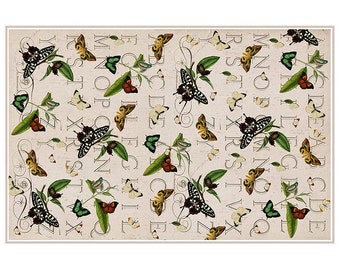 Popular items for butterfly species on Etsy