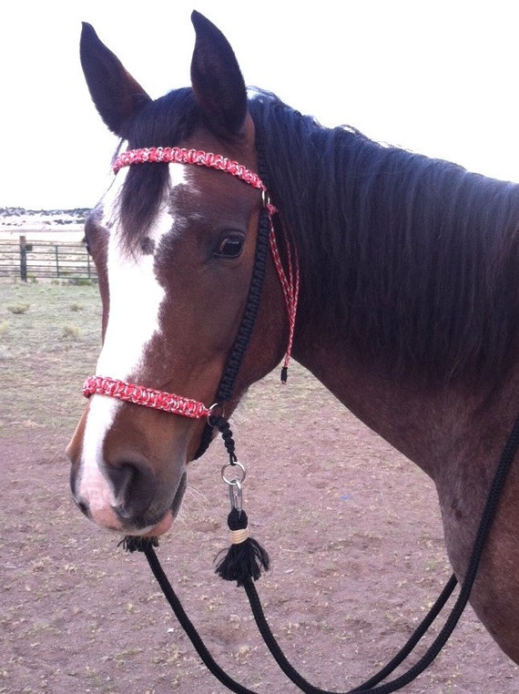 Items similar to Paracord Bitless Bridle CHIN SLIP Simple Style on Etsy