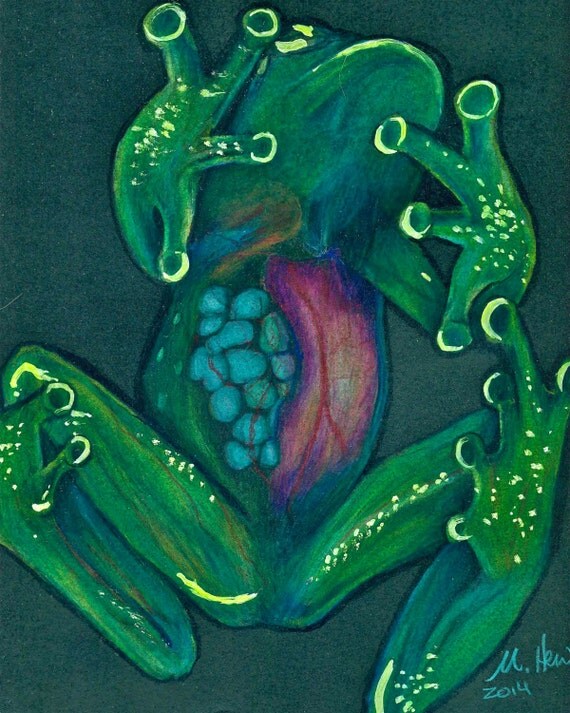 Glass Frog Frog Art Frog Painting Surreal Art Dark Art