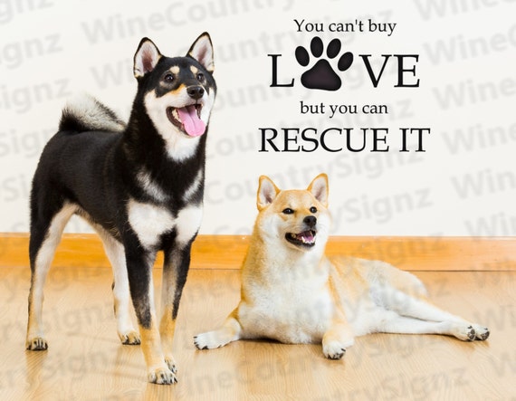 You Cant Buy Love But you can Rescue it :)