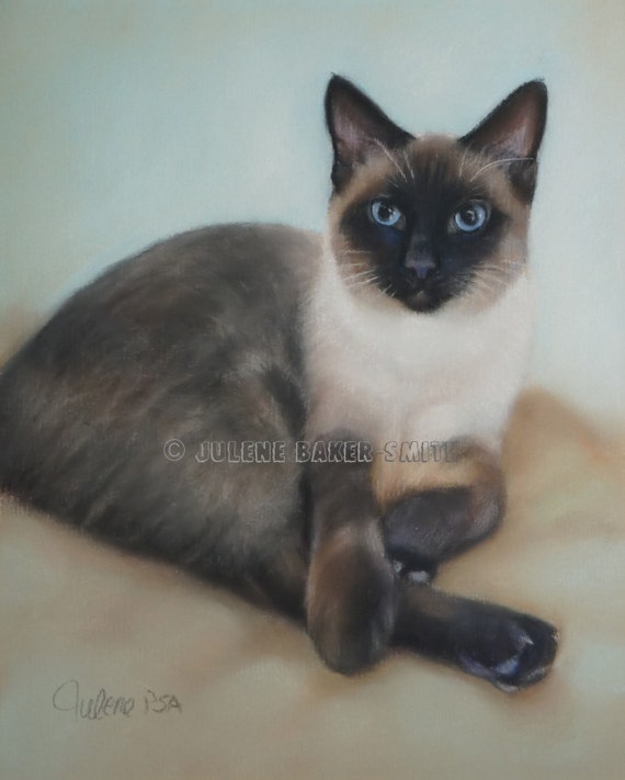 Siamese Cat Art Siamese Gift Siamese Cat Lover by ArtByJulene