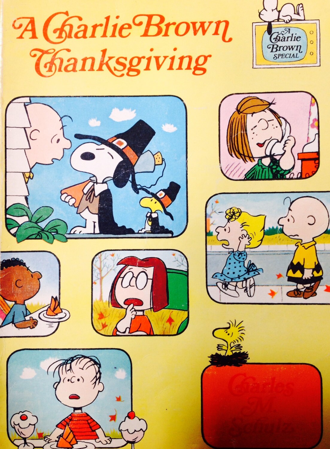 A Charlie Brown Thanksgiving Book