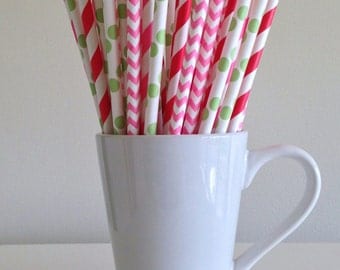Pink, Red, and Green Paper Straws Strawberry Shortcake Party Supplies Party Decor Bar Cart Cake Pop Sticks Party Graduation