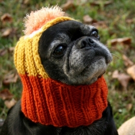 READY to SHIP - Dog Hat - Candy Corn Hat