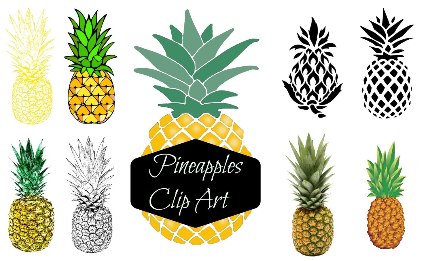 Pineapple clipart, tropical, summer, paradise clipart ...