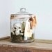 Bones - Skeleton In Apothecary Jar