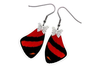 Real Butterfly Wing Earrings (Callicore Cynosura Forewing - E169)