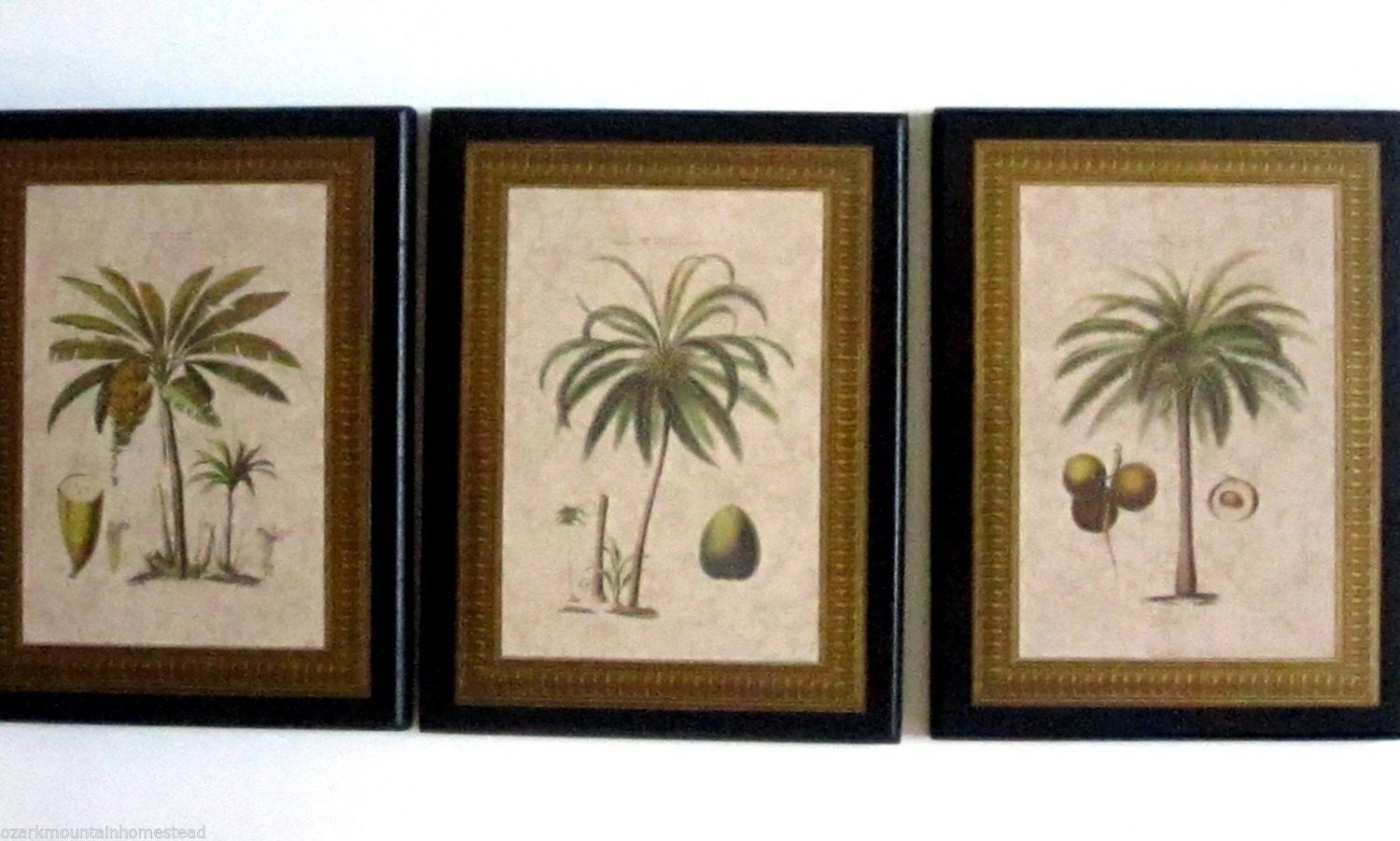 Palm Trees in Gold Frames Wall Decor Plaques tropical or