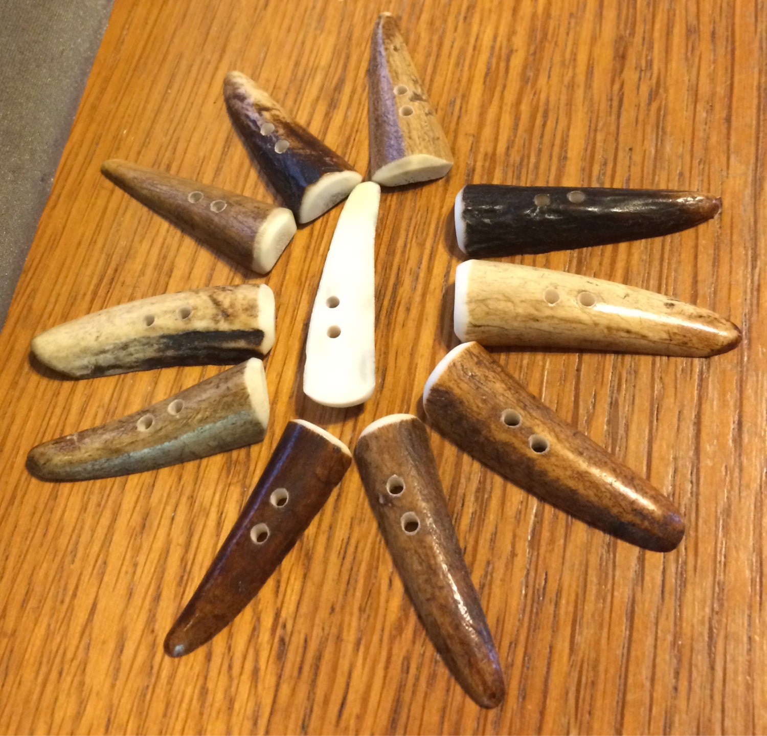 split elk antlers split elk antlers