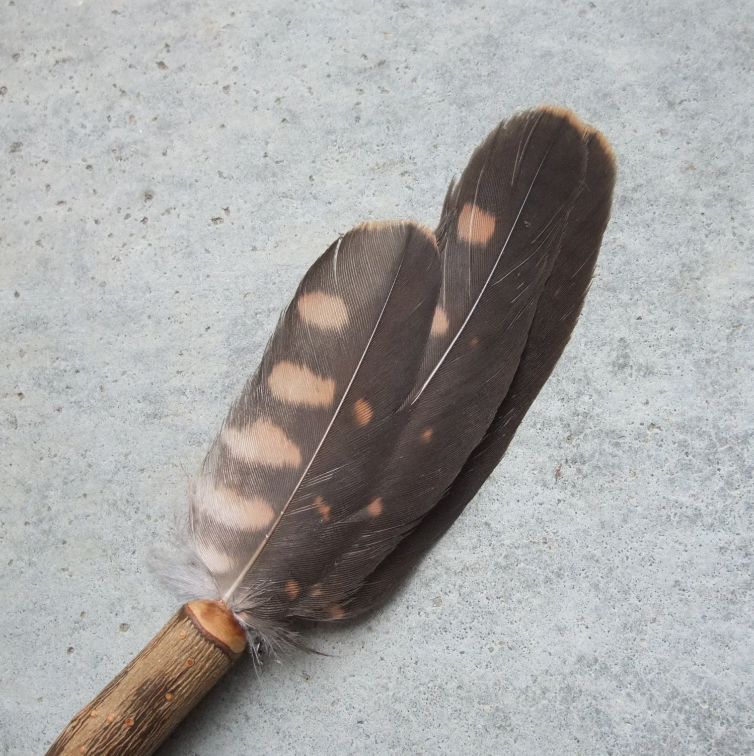 falcon feathers meaning