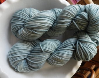 Thanks for All the Fish -- Decadent -- Hand Painted Superwash DK Merino Wool Yarn