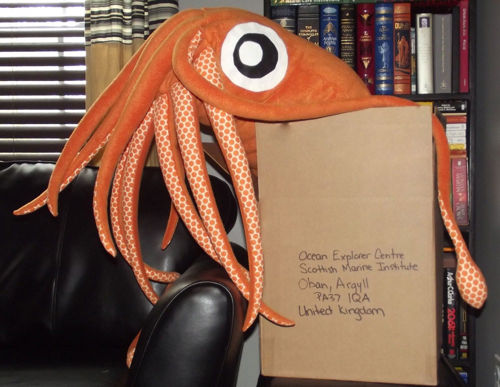 giant squid pillow