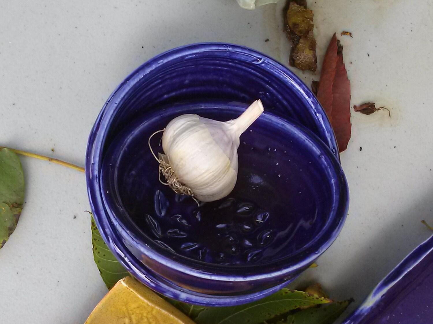 Pottery Bowl Garlic Grater in Indigo Blue Foodie gift