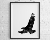 Soaring Eagle Print Il_170x135