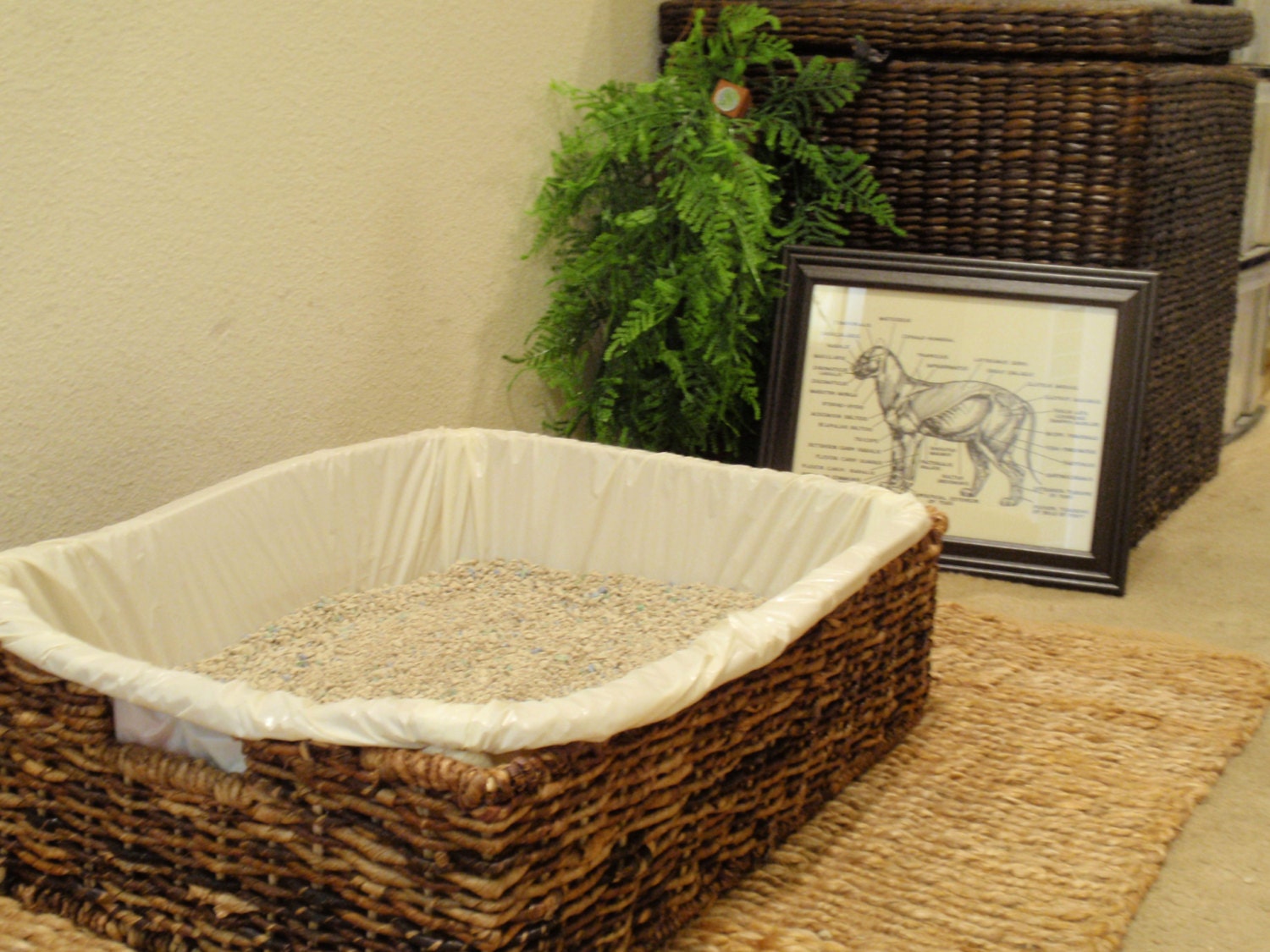 Zen Cat Litter Box Set Cat Litter Box for the Natural Home