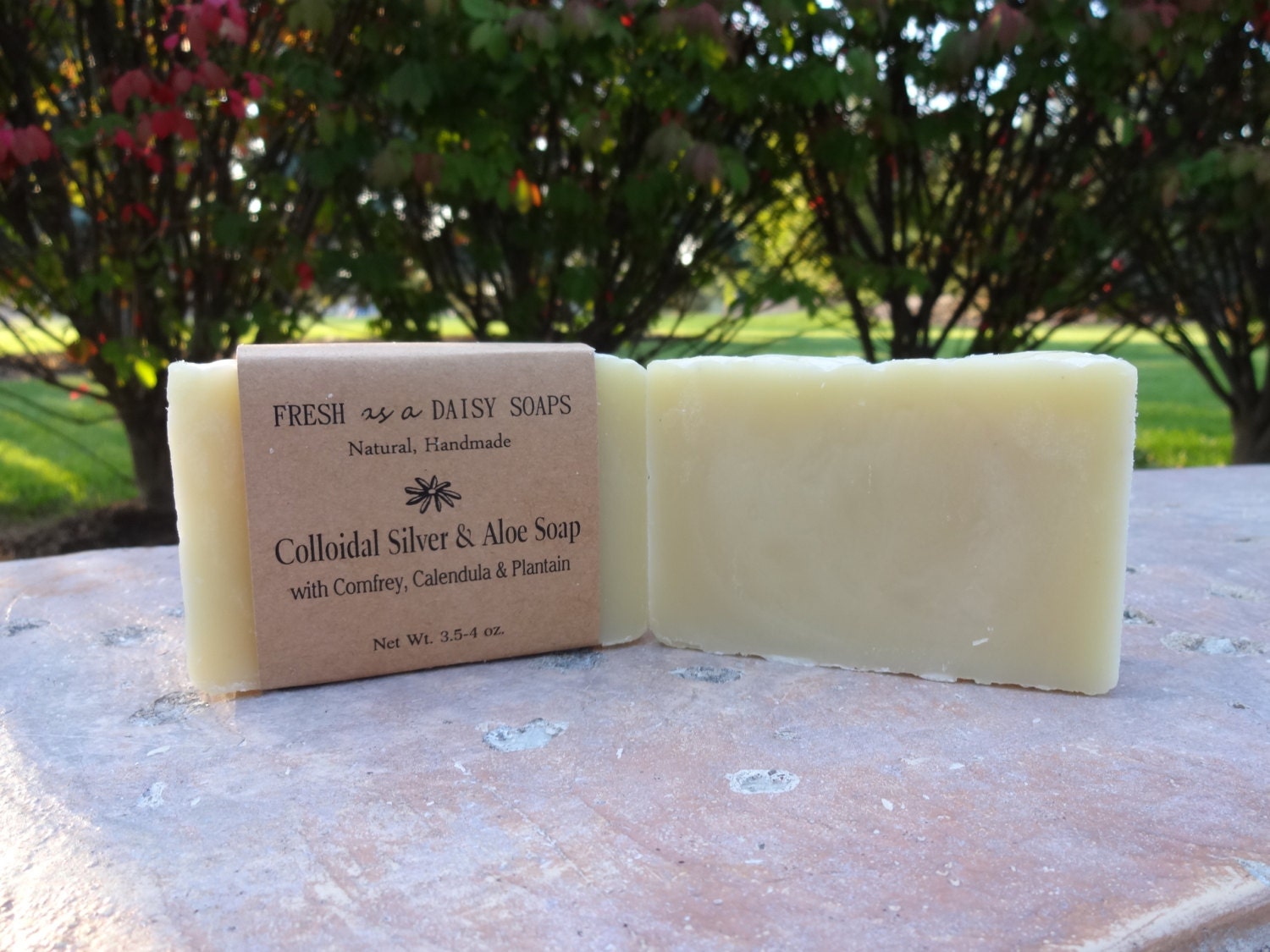 Colloidal Silver & Aloe Natural Handmade Soap 100% Natural