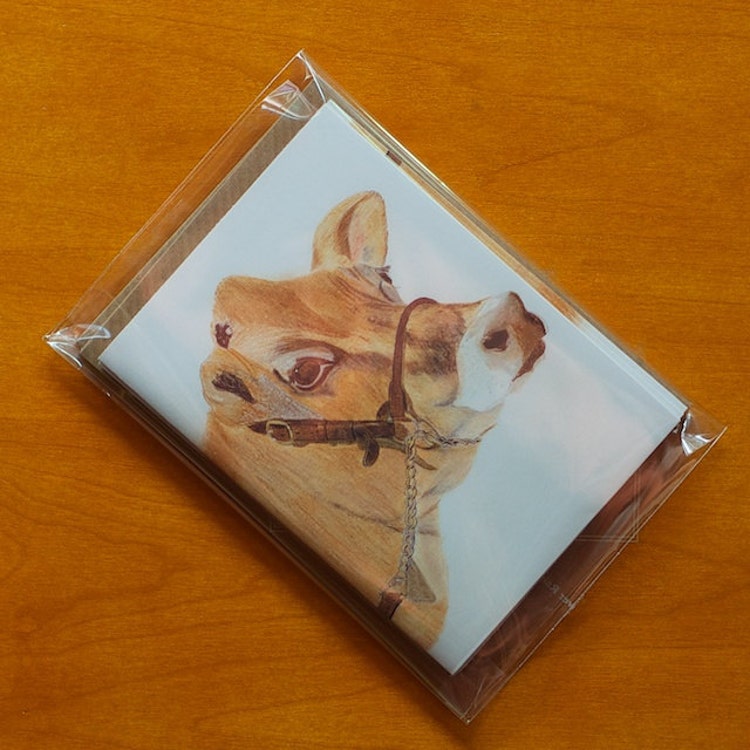 Cow Gift Cards Jersey Cow by BlackCatStudioArt on Etsy