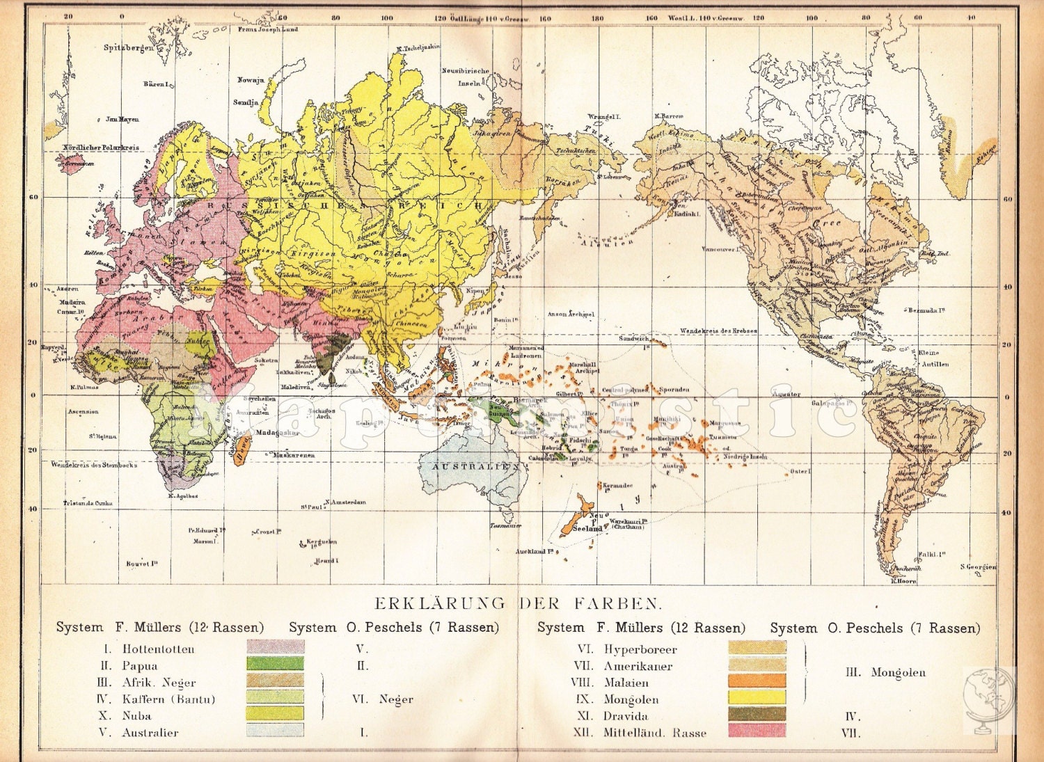 major human races of the world