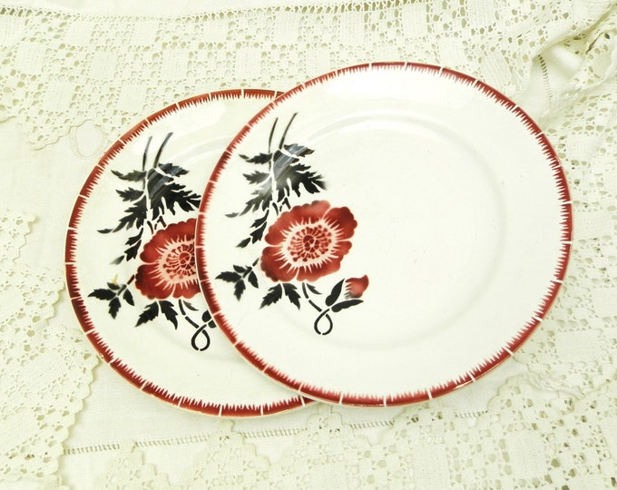 2 Antique Ironware Porcelain Desert Plate with Poppy Floral Motif / Shabby / Cottage / Chateau Chic / Vintage Home Interior / French Decor