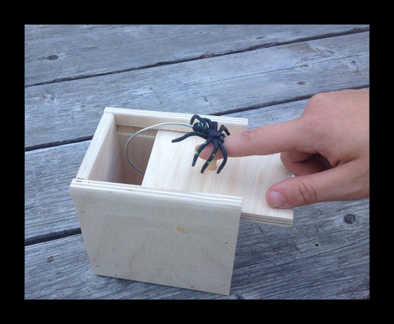 spider gag box