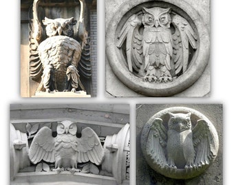 Rare Magnificent Magic OWL Power RING