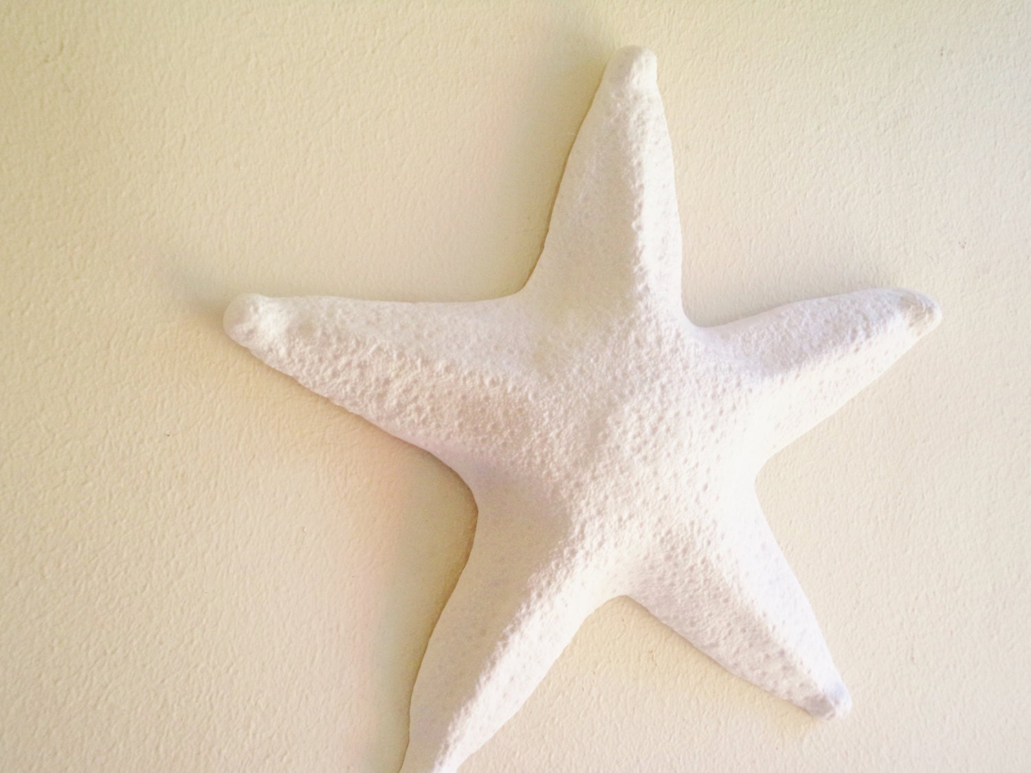 Large starfish wall hanging sculpture large sea shell beach