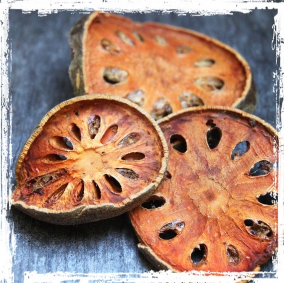 Dried Quince Slices Dehydrated Slice Fruit Ornamental