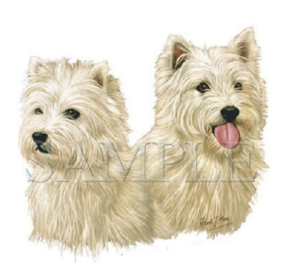 west highland terrier shirts