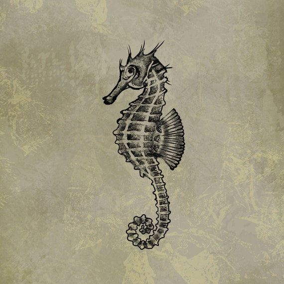 Items similar to Vintage Seahorse Clip Art / Instant Download ...