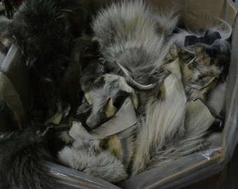Fur Scrap 1 pound SMALL Fox Scrap Skins Coyote Raccoon craft - 10931