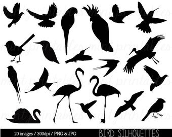 Clipart Birds, Clipart Bird Silhouettes, Bird Clip Art, animal clipart, stork, dove, flamingo - Commercial & Personal - BUY 2, GET 1 FREE!