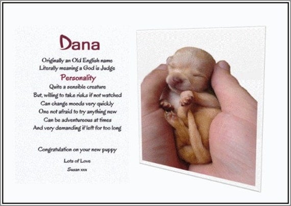 The Meaning of your Pets Name with Photo by PompiGifts on Etsy