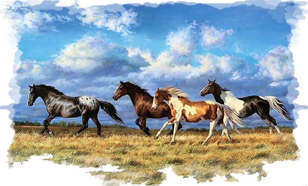 Horse Stallion Mustang 2 RV Trailer Wall Mural Decal Decals