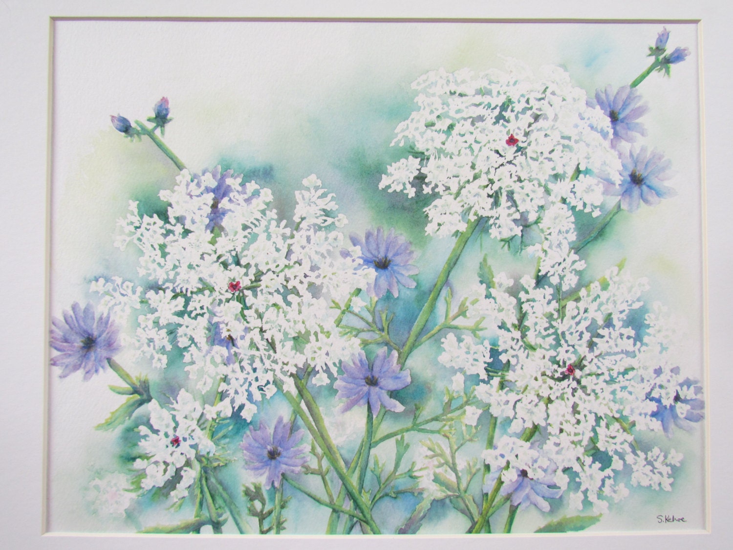 Original watercolor painting of Queen Annes Lace and Chicory
