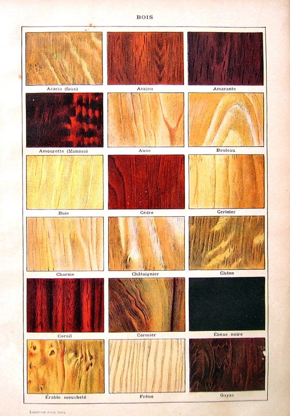 Items similar to Types of Wood Bois 2 Sided Antique French Dictionary