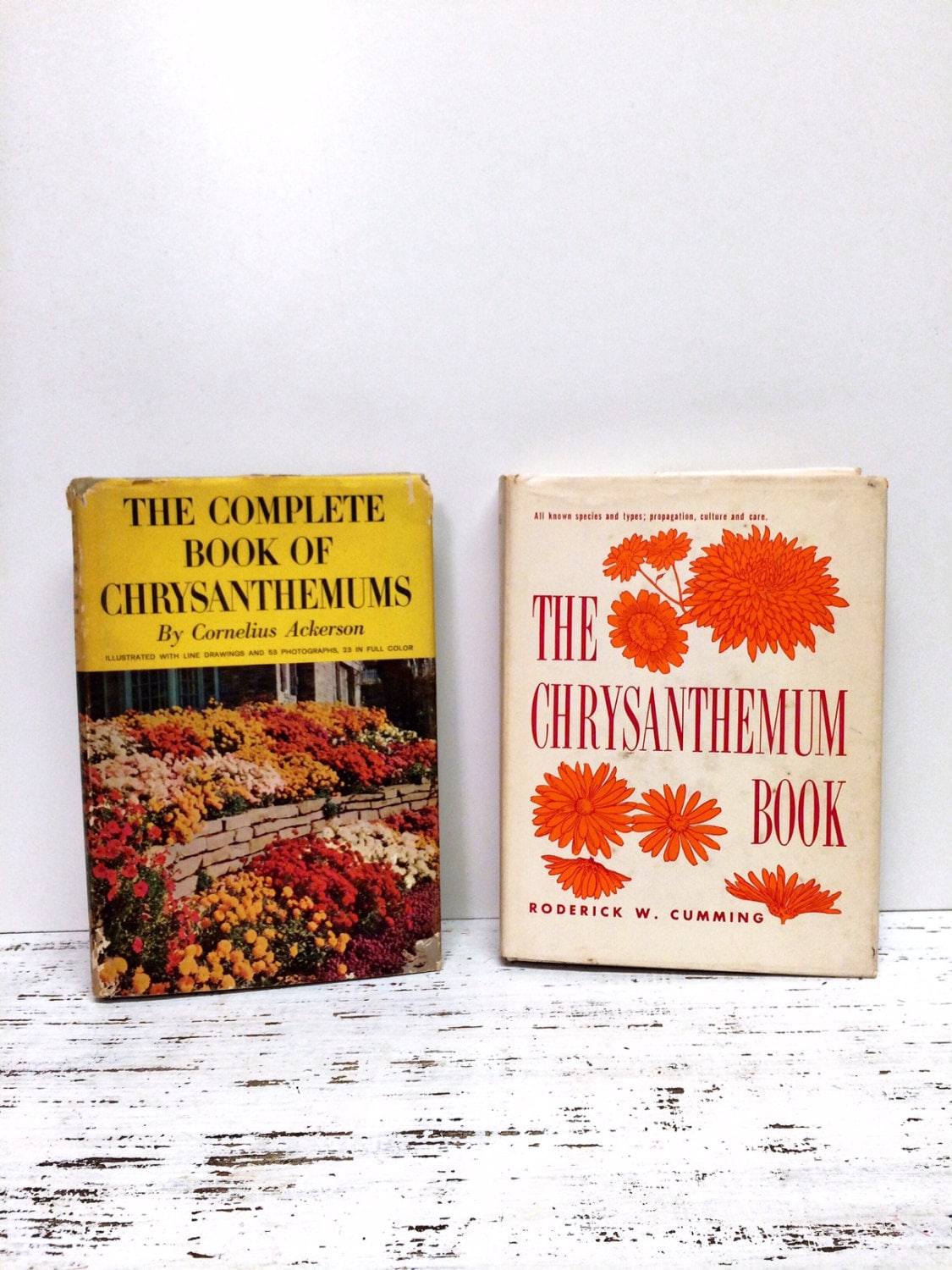 chrysanthemum book