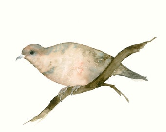 Fine Art Print from Original Bird Watercolor Dove