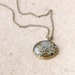 Lichen necklace - botanical handmade jewelry - rustic woodland pendant with lichen